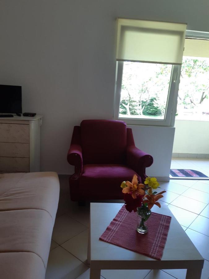 Cvjetni Apartmani Cetinje Exteriör bild