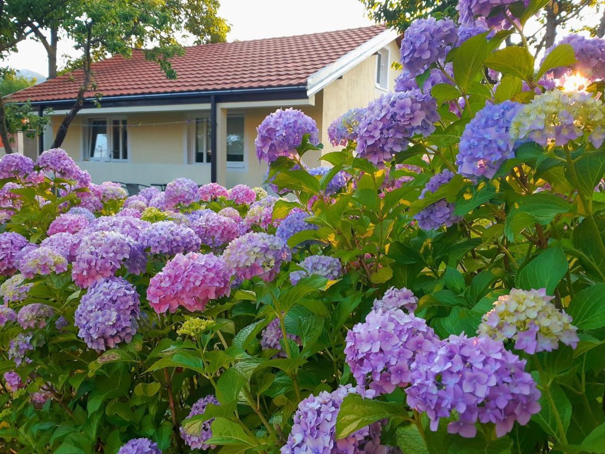 Cvjetni Apartmani Cetinje Exteriör bild