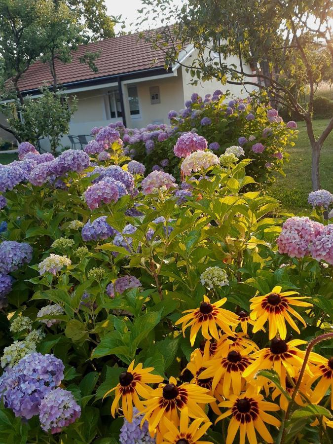 Cvjetni Apartmani Cetinje Exteriör bild