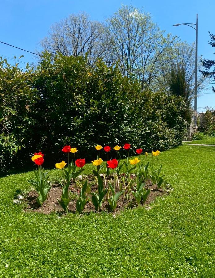 Cvjetni Apartmani Cetinje Exteriör bild
