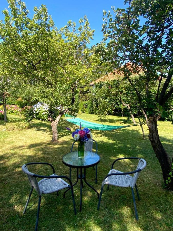 Cvjetni Apartmani Cetinje Exteriör bild