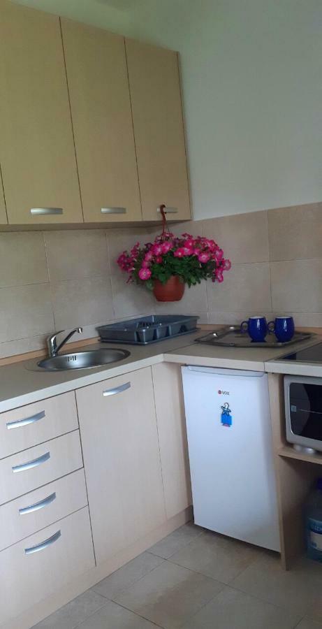 Cvjetni Apartmani Cetinje Exteriör bild