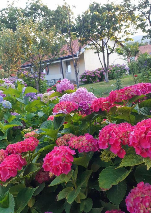 Cvjetni Apartmani Cetinje Exteriör bild